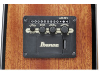 Ibanez AAD51CE-DVS Ibanez AAD51CE-DVS